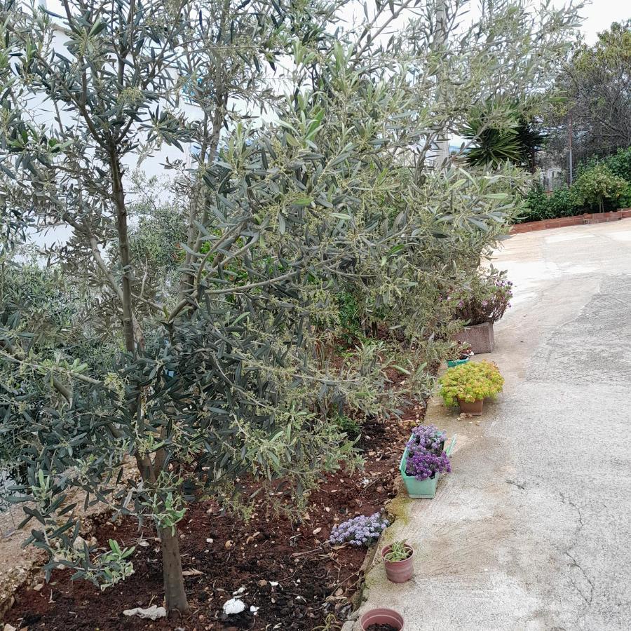 Denni'S Home Saranda Dış mekan fotoğraf