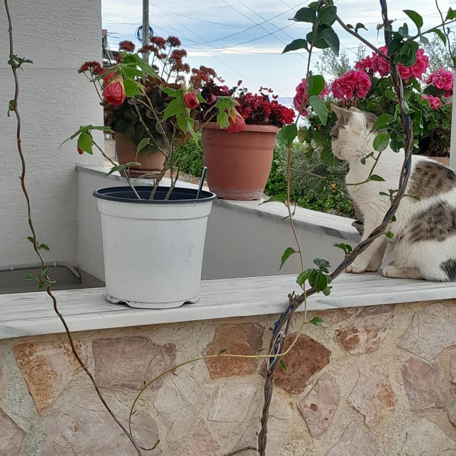 Denni'S Home Saranda Dış mekan fotoğraf