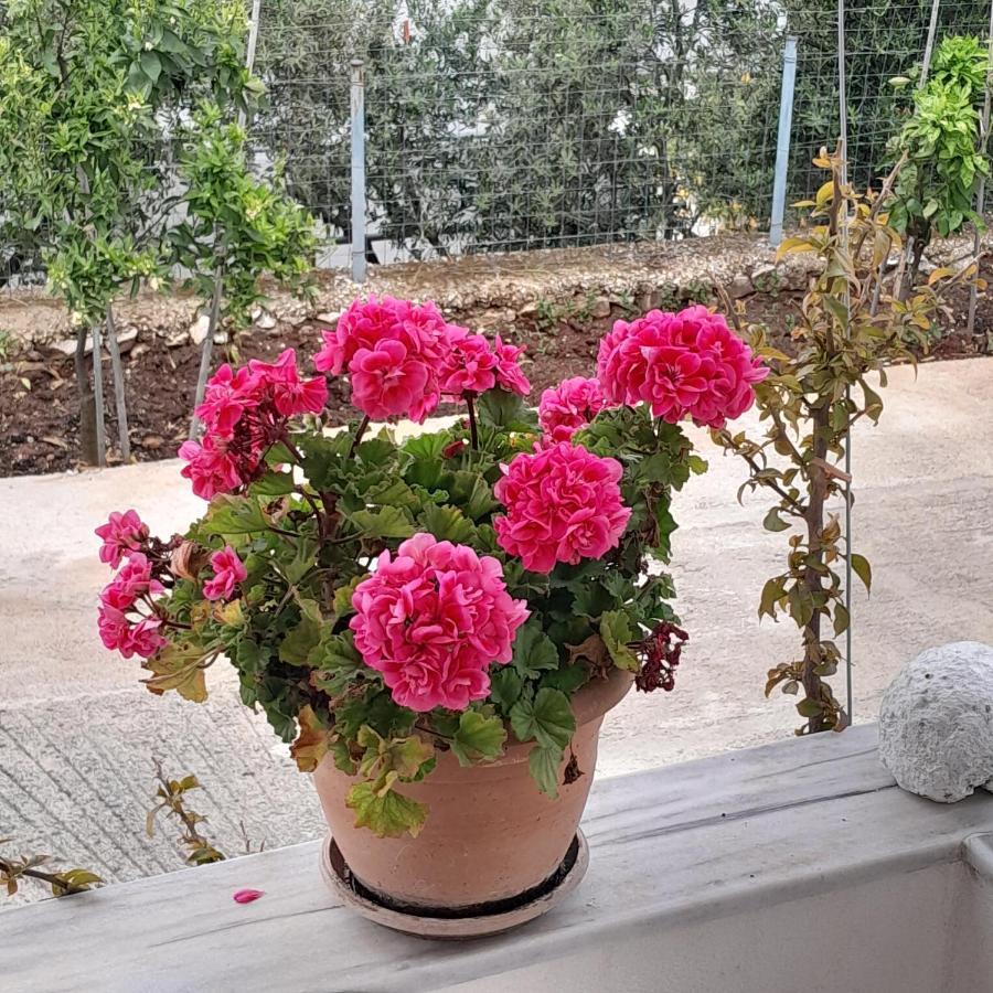 Denni'S Home Saranda Dış mekan fotoğraf