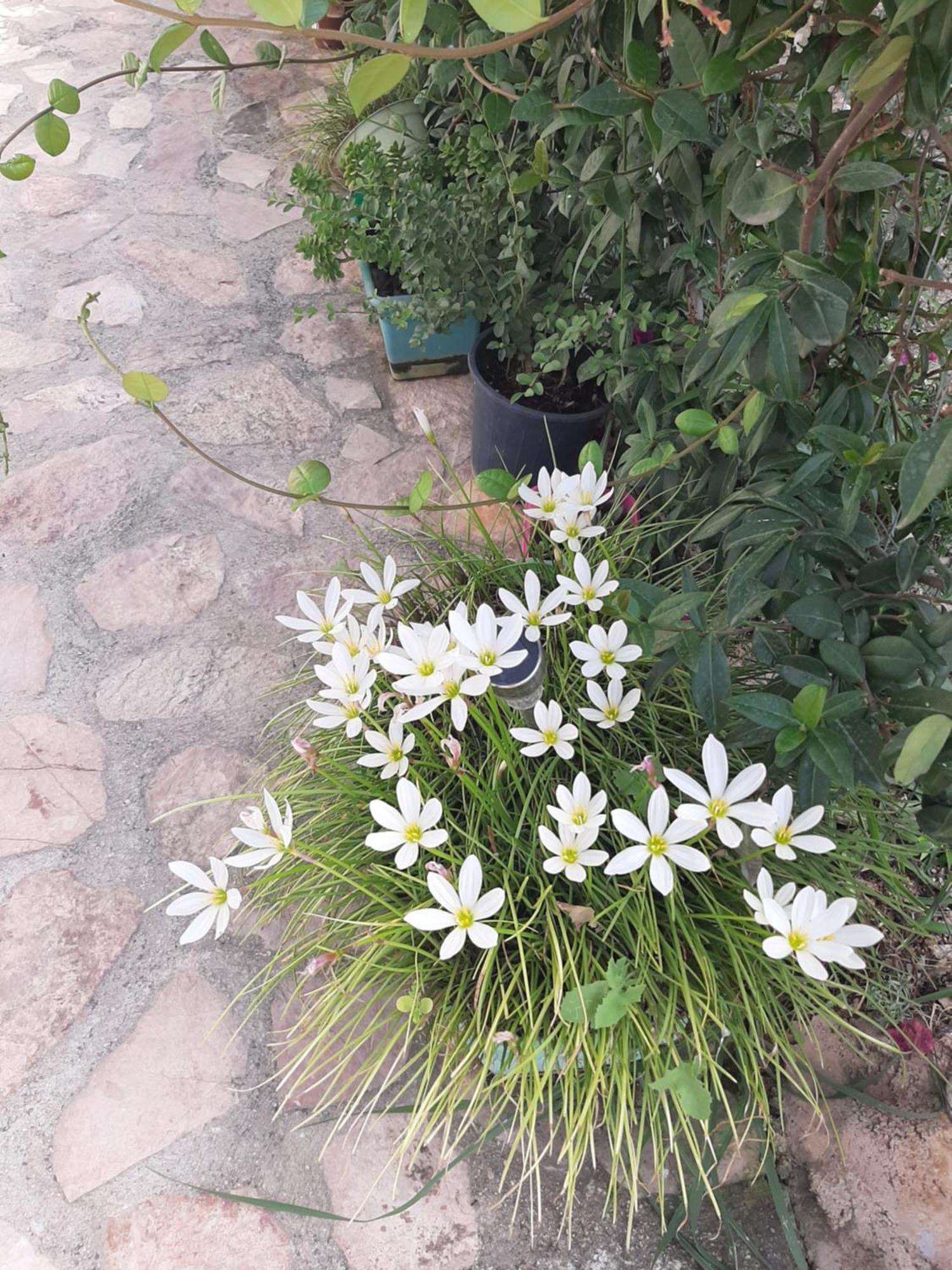 Denni'S Home Saranda Dış mekan fotoğraf