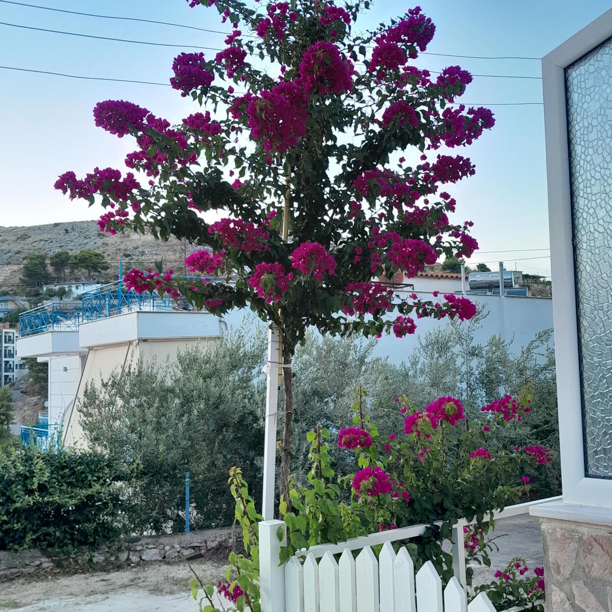 Denni'S Home Saranda Dış mekan fotoğraf