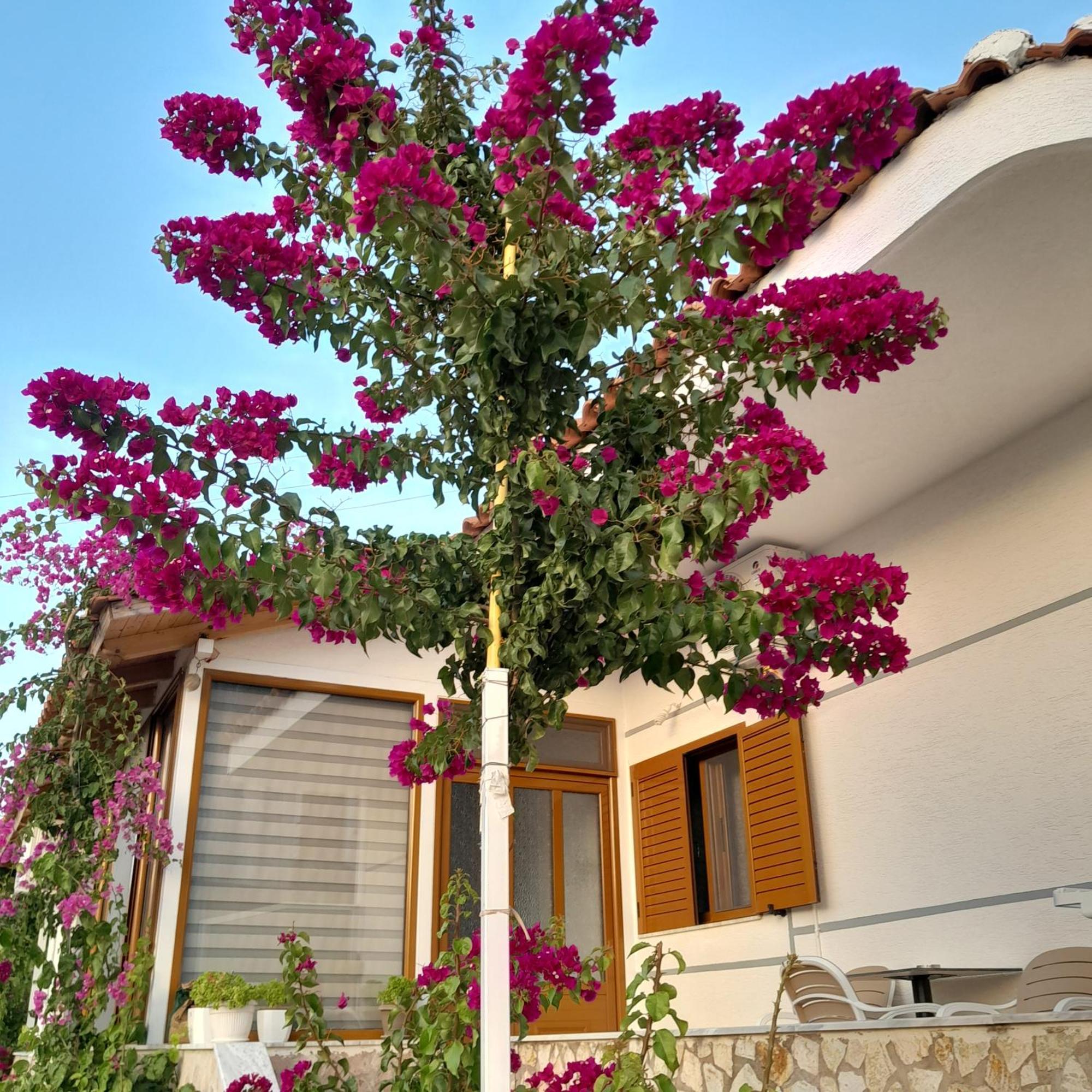 Denni'S Home Saranda Dış mekan fotoğraf
